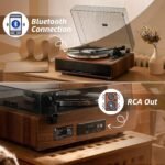 Tocadiscos 1 by One Hifi Bluetooth especificaciones