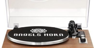 Angels Horn H019