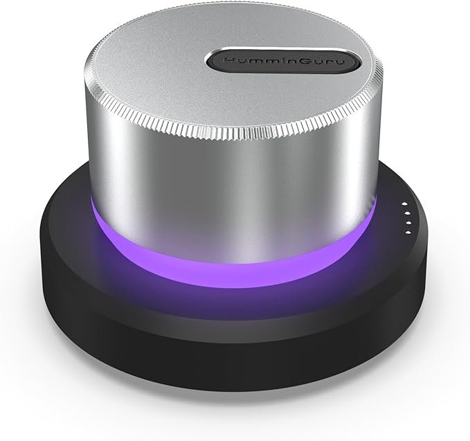 HumminGuru LUMI Record Stabilizer