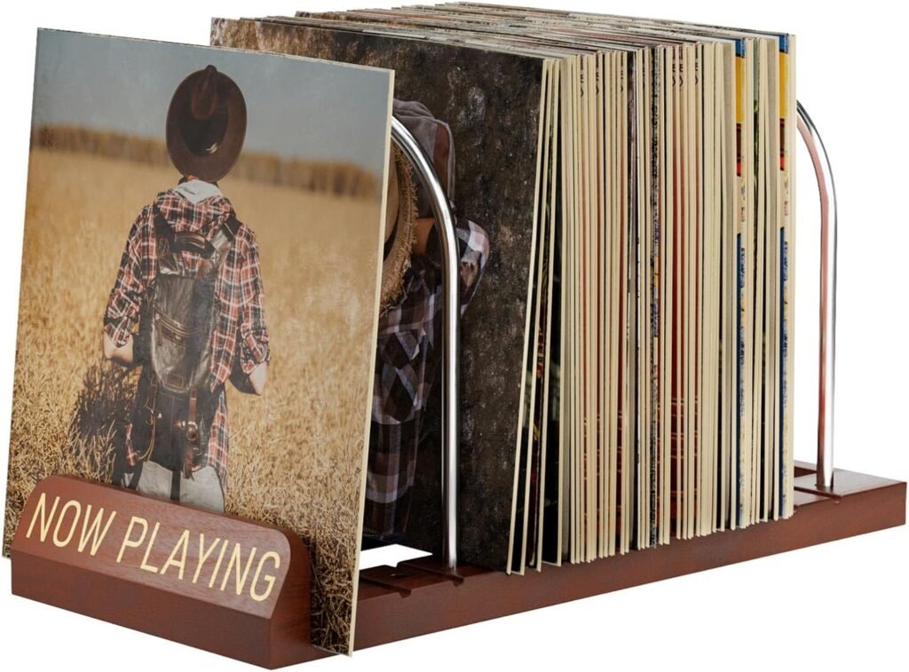Soporte Para Discos De Vinilo
