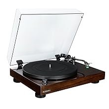 Fluance RT81 madera